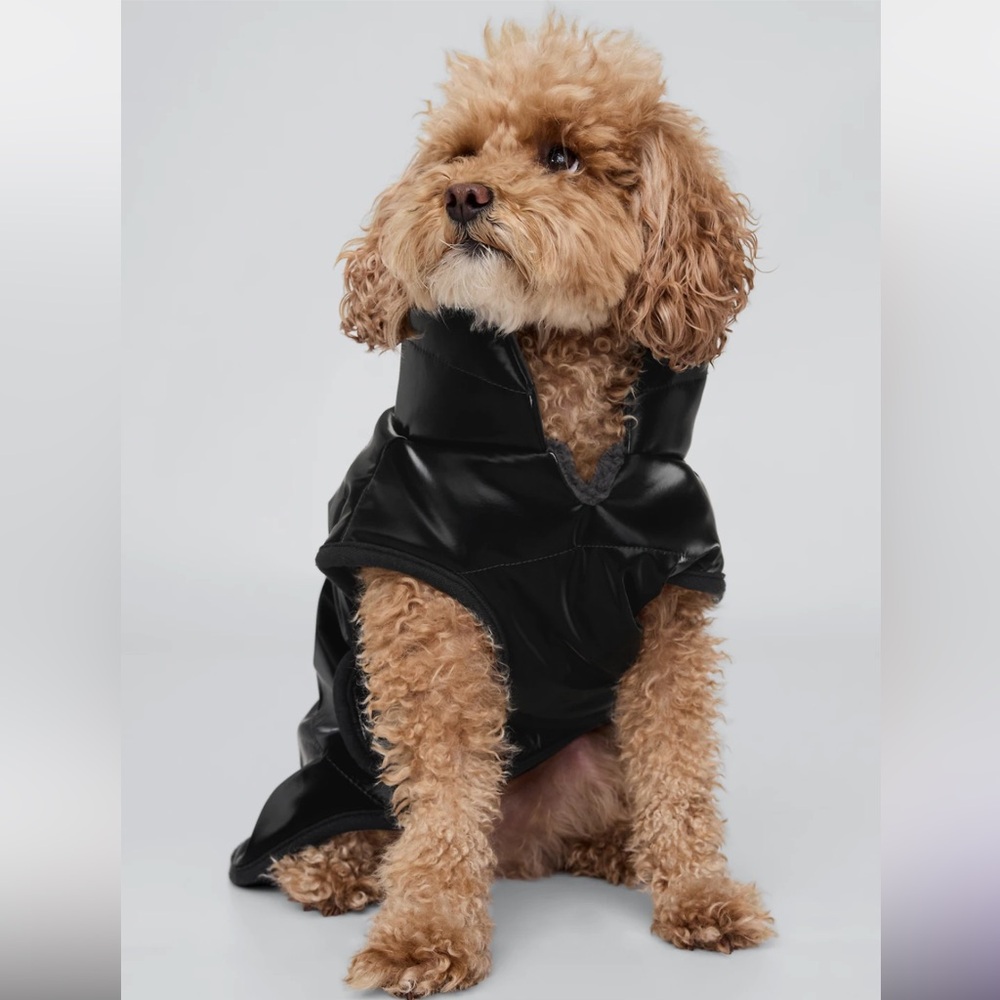Gap Dog Coat Black Quilted Puffer Size M NWT Warm Winter Puppy Jacket